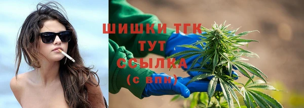 мдпв Верея