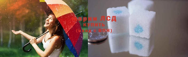 мдпв Верея