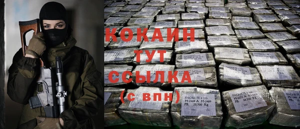 мдпв Верея