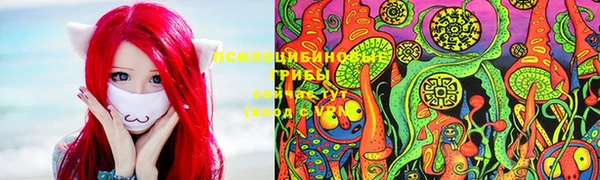герыч Верхний Тагил