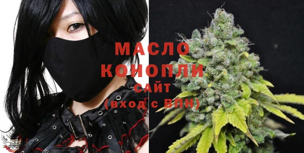 мдпв Верея